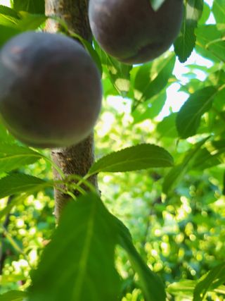 이동희님의 자유주제 · 자유게시판 작성글 사진