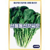 팜모닝 · 게시글 이미지