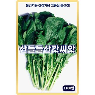 산들마켓,씨앗마켓님의 작성글 사진