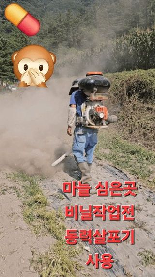 백용기님의 자유주제 · 자유게시판 작성글 사진