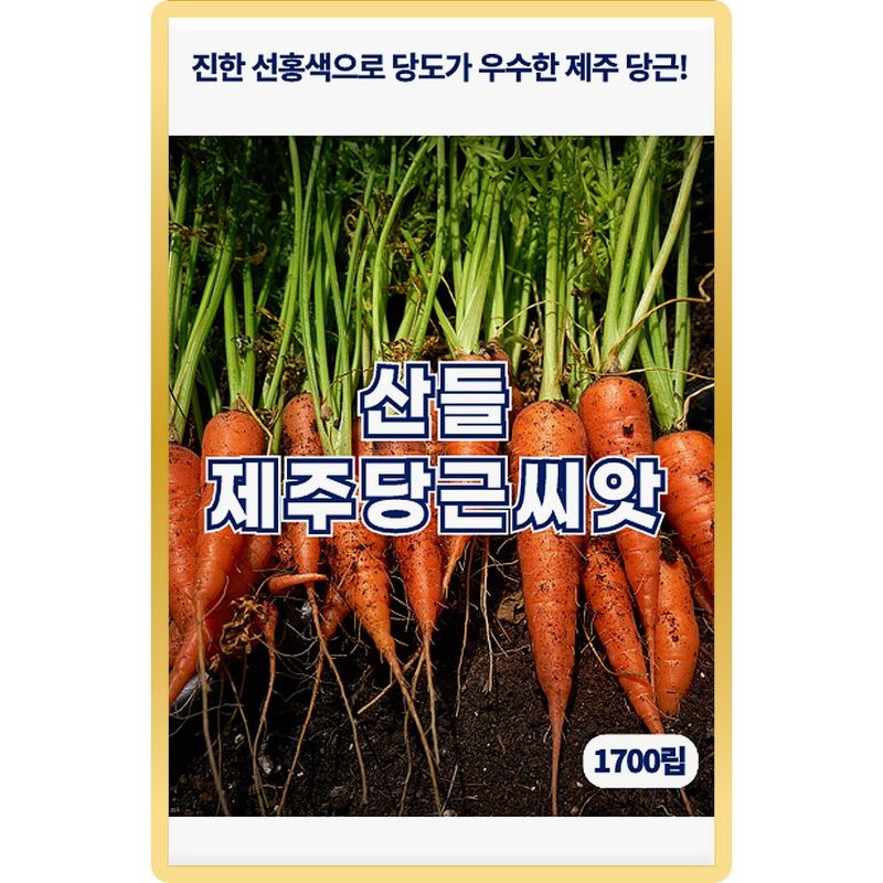장터 상품 [산들 제주 당근씨앗 1700립 진한 선홍색 당도 우수한 소량 제주 당근씨 종자] 썸네일
