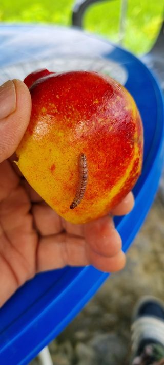 윤섭님의 자유주제 · 자유게시판 작성글 사진