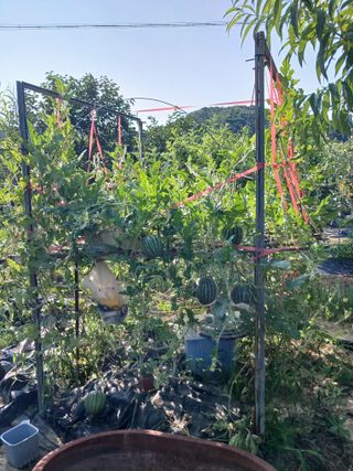 금동이네님의 자유주제 · 자유게시판 작성글 사진