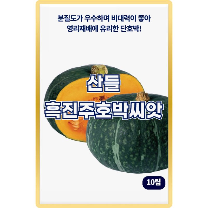 장터 상품 [산들 흑진주 단호박씨앗 10립 비대력 좋고 단단한 소량 단호박씨 종자] 썸네일