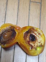 팜모닝 농사, 무엇이든 물어보세요!·참여글 게시글 이미지