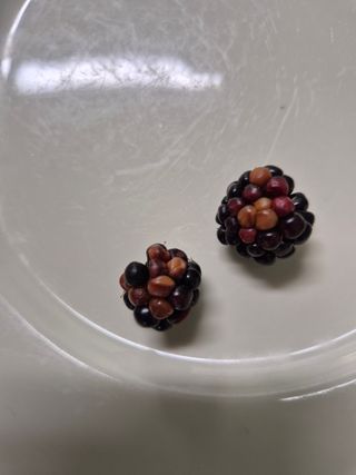 리챠드님의 농사, 무엇이든 물어보세요! · 참여글 작성글 사진