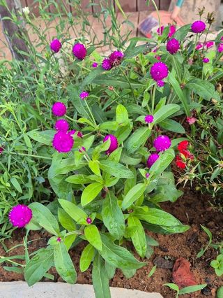 안길원님의 자유주제 · 자유게시판 작성글 사진