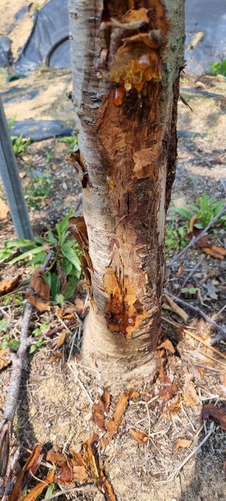 윤섭님의 자유주제 · 자유게시판 작성글 사진