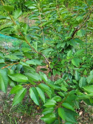 이동희님의 자유주제 · 자유게시판 작성글 사진