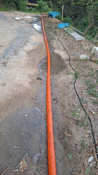 MSG0074님의 자유주제 · 자유게시판 작성글 사진