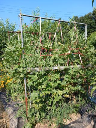 금동이네님의 자유주제 · 자유게시판 작성글 사진