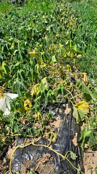 MSG0074님의 자유주제 · 자유게시판 작성글 사진