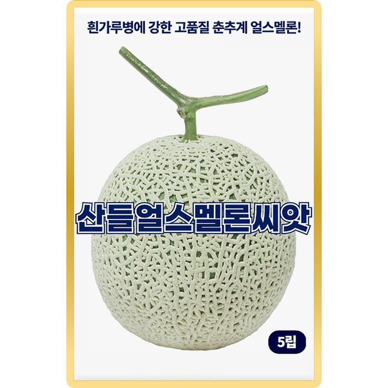 장터 상품 [산들 얼스 멜론씨앗 5립 흰가루병에 강한 고품질 춘추계 소량 멜론씨 종자] 썸네일