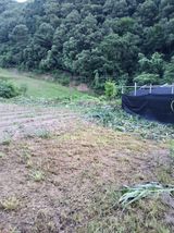 팜모닝 자유주제·자유게시판 게시글 이미지