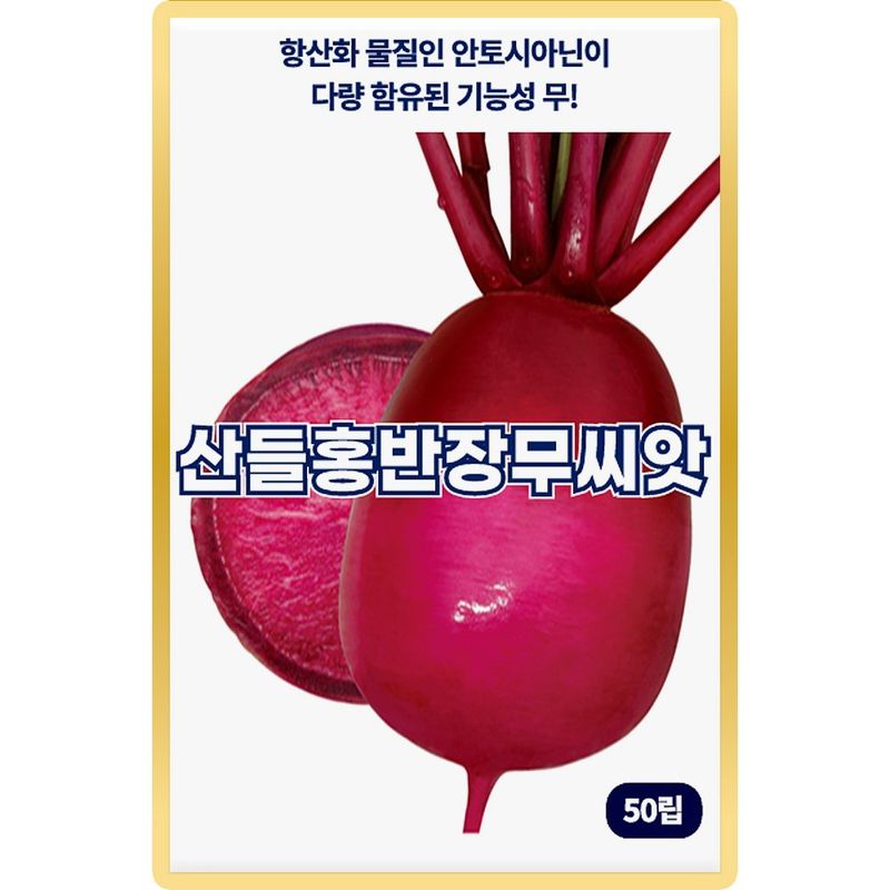 장터 상품 [산들 홍반장 무씨앗 50립 항산화 물질 안토시아닌 다량 함유 소량 적색무씨 종자] 썸네일