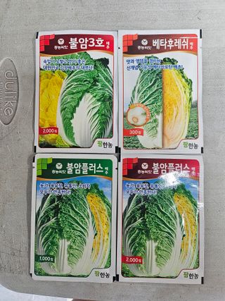 대산농사대장님의 배추 · 품종•종자 작성글 사진