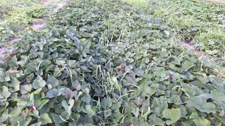 오남현님의 자유주제 · 자유게시판 작성글 사진