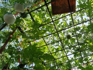 금동이네님의 자유주제 · 자유게시판 작성글 사진