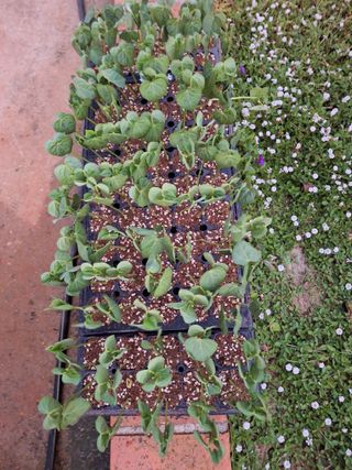 김은숙님의 자유주제 · 자유게시판 작성글 사진