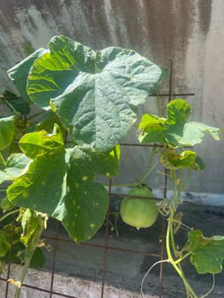 님의 자유주제 · 자유게시판 작성글 사진