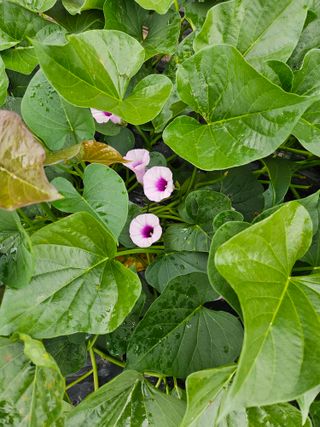 그린님의 자유주제 · 자유게시판 작성글 사진