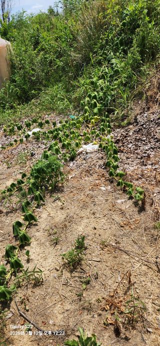 이응철님의 자유주제 · 자유게시판 작성글 사진