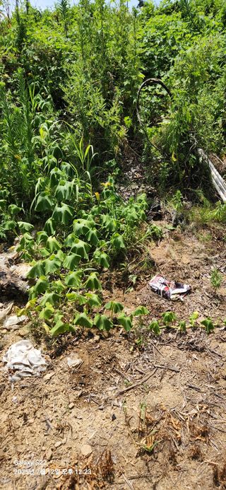 이응철님의 자유주제 · 자유게시판 작성글 사진