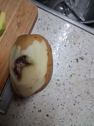 김석율님의 농사, 무엇이든 물어보세요! · 참여글 작성글 사진