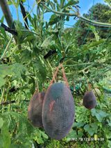 팜모닝 자유주제·자유게시판 게시글 이미지