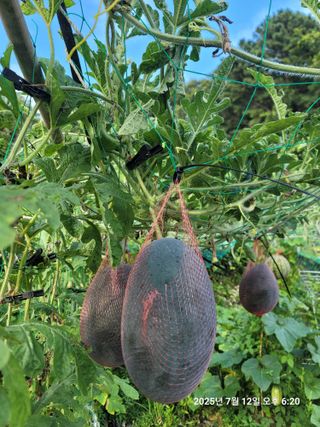 미날기미(김원영)님의 자유주제 · 자유게시판 작성글 사진