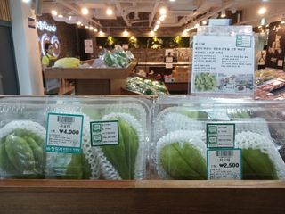 산성골농장님의 자유주제 · 자유게시판 작성글 사진