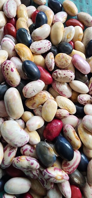 김선례님의 자유주제 · 자유게시판 작성글 사진