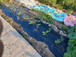 알 수 없음님의 자유주제 · 자유게시판 작성글 사진