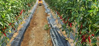 하은와송~♡♡♡~님의 자유주제 · 자유게시판 작성글 사진