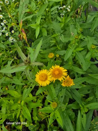 약초원 김종군님의 자유주제 · 자유게시판 작성글 사진