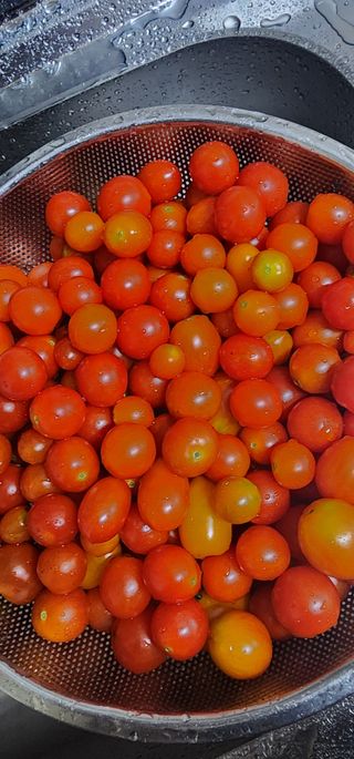 김선례님의 자유주제 · 자유게시판 작성글 사진