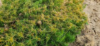 정재현님의 농사, 무엇이든 물어보세요! · 참여글 작성글 사진