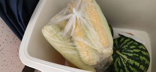 김선례님의 자유주제 · 자유게시판 작성글 사진