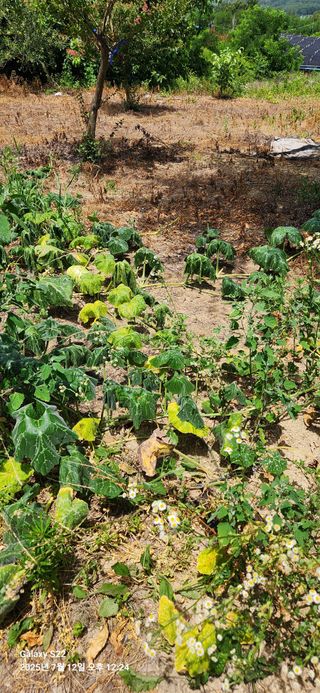 이응철님의 자유주제 · 자유게시판 작성글 사진