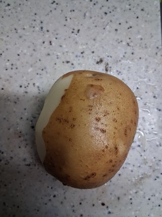 김석율님의 농사, 무엇이든 물어보세요! · 참여글 작성글 사진