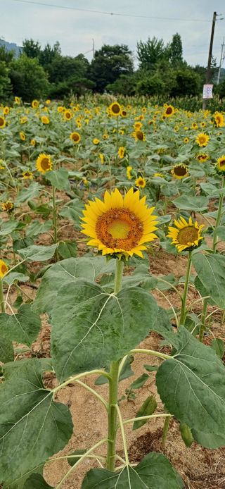 이강재님의 자유주제 · 자유게시판 작성글 사진