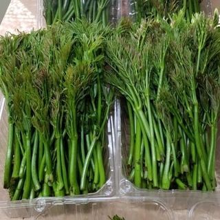 알 수 없음님의 자유주제 · 자유게시판 작성글 사진