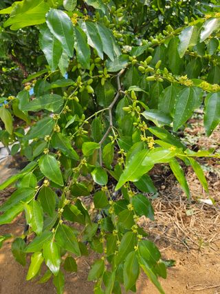 대추 9544님의 자유주제 · 자유게시판 작성글 사진