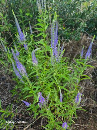 약초원 김종군님의 자유주제 · 자유게시판 작성글 사진
