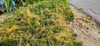 정재현님의 농사, 무엇이든 물어보세요! · 참여글 작성글 사진