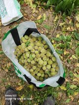 팜모닝 자유주제·자유게시판 게시글 이미지