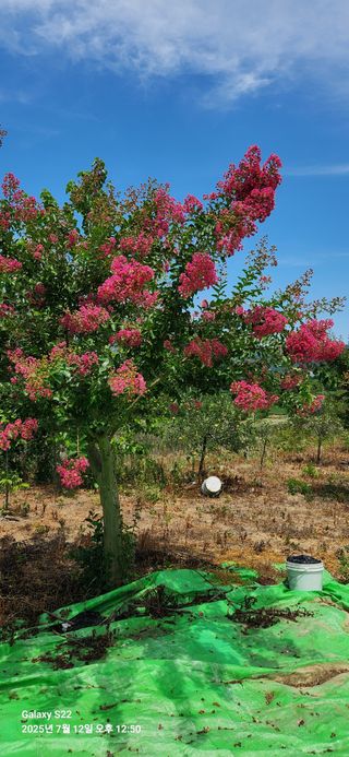 이응철님의 자유주제 · 자유게시판 작성글 사진