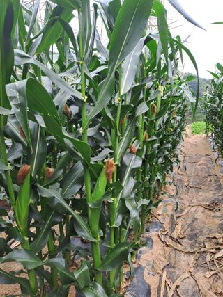 강정희님의 자유주제 · 자유게시판 작성글 사진