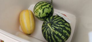 김선례님의 자유주제 · 자유게시판 작성글 사진