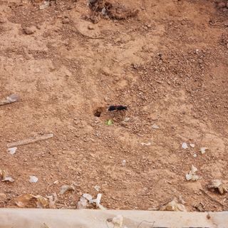 민들레님의 자유주제 · 자유게시판 작성글 사진